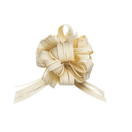 Coccarda Raphia Pull Bow